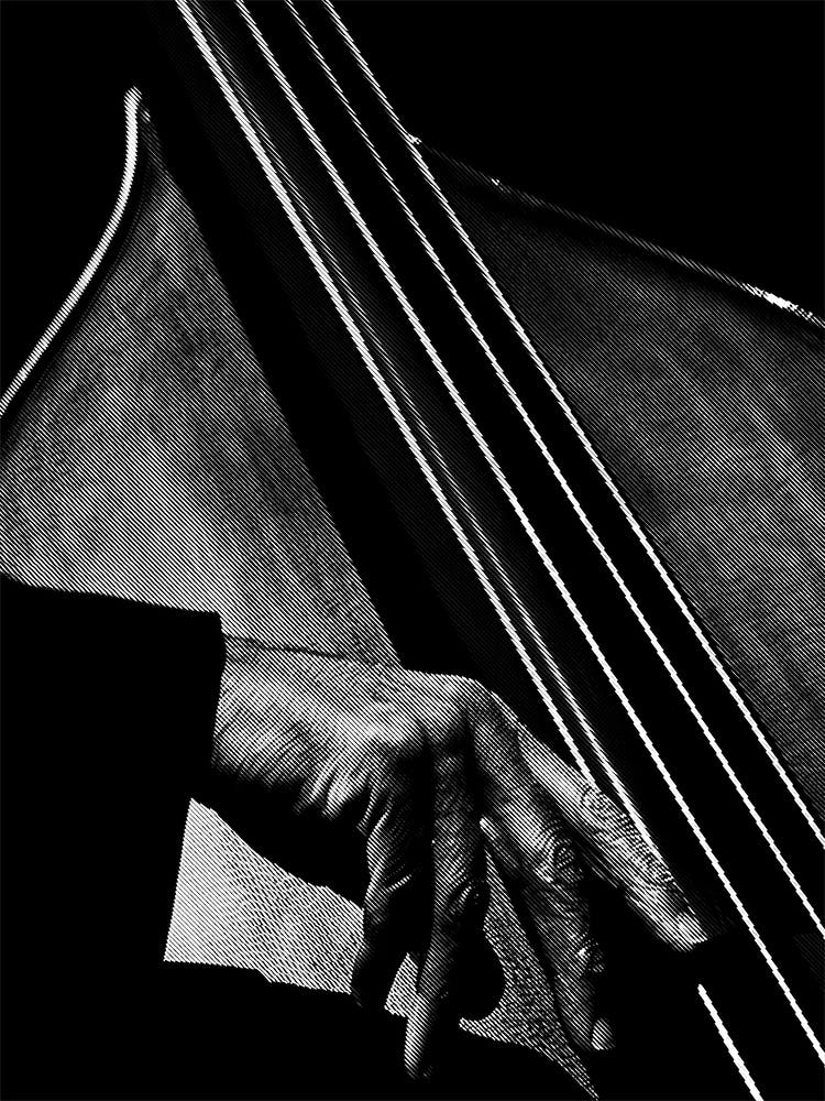 Cello for Cello Player Legend in Line Art Illustration