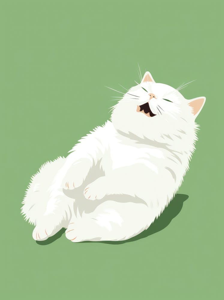 Weiße Katze 4