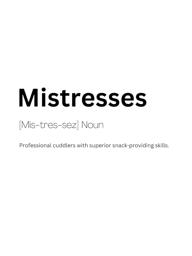 Mistresses Definition Meaning