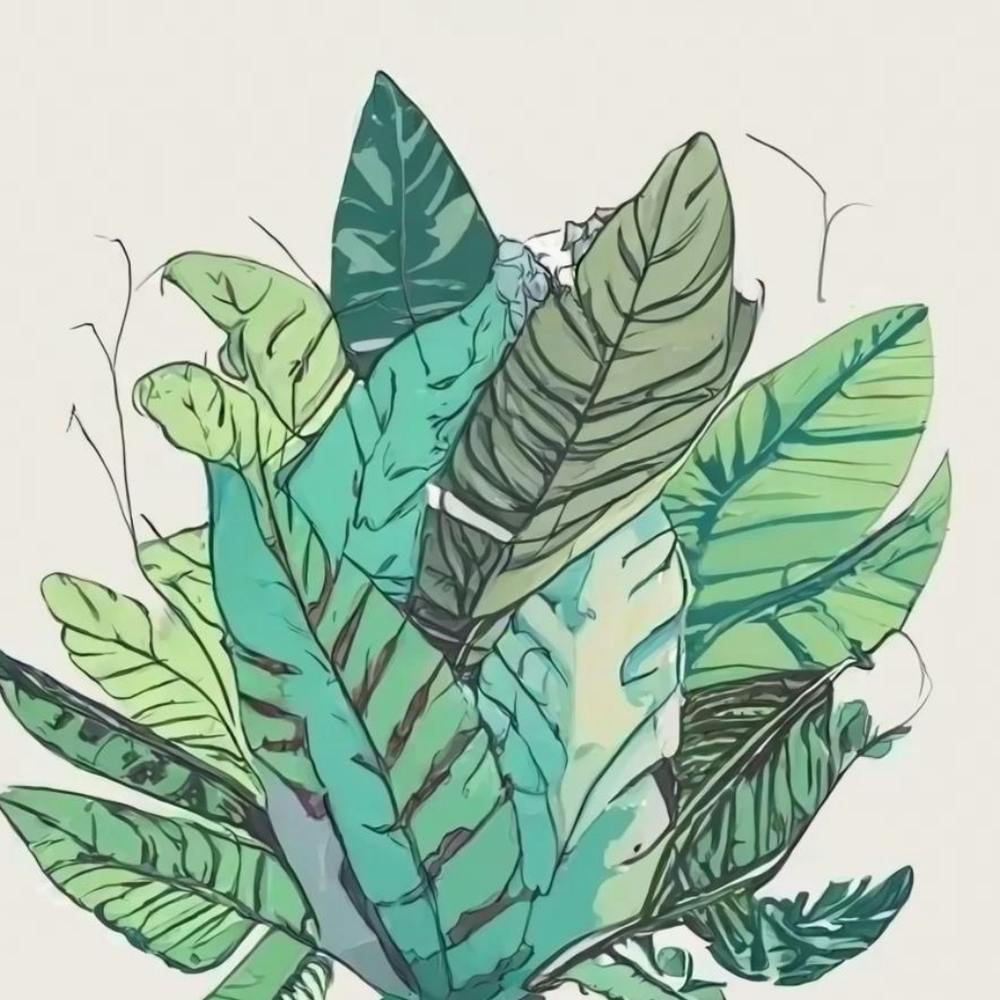 Tropical Leaves