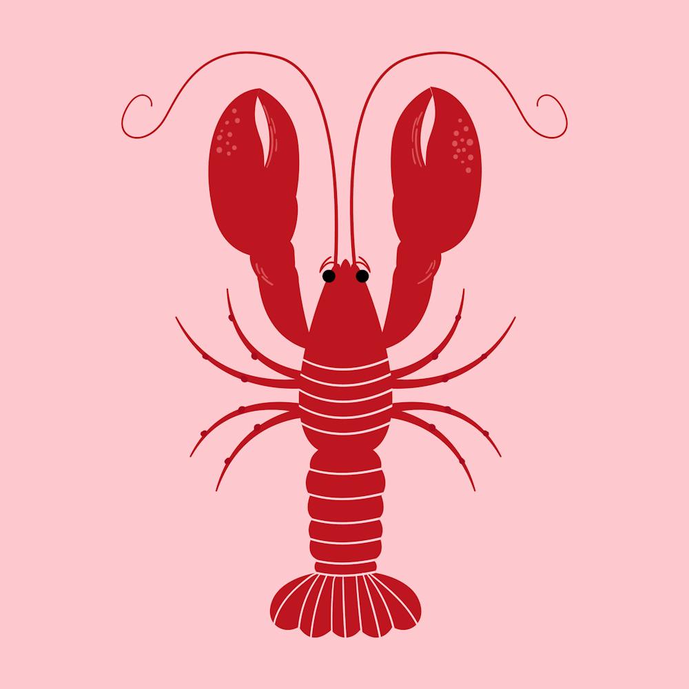 Lobster On Pink Background 1