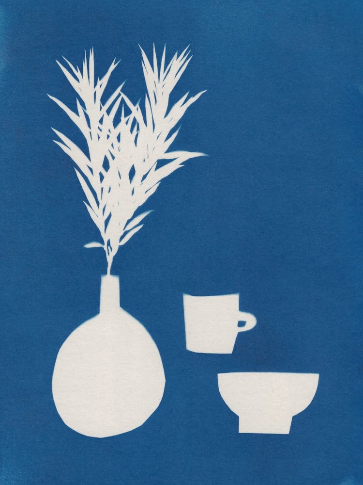 Cyanotype Still Life Studies #1