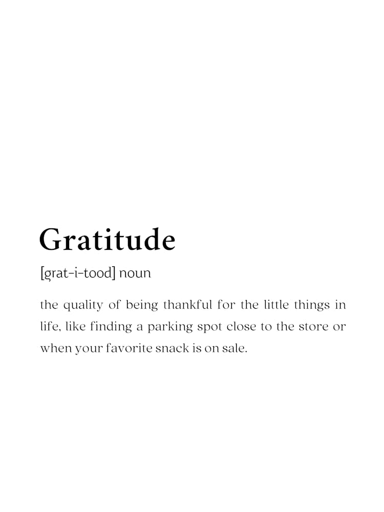 Gratitude Funny Definition Wall