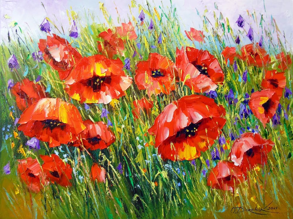 Poppies in the field 1
