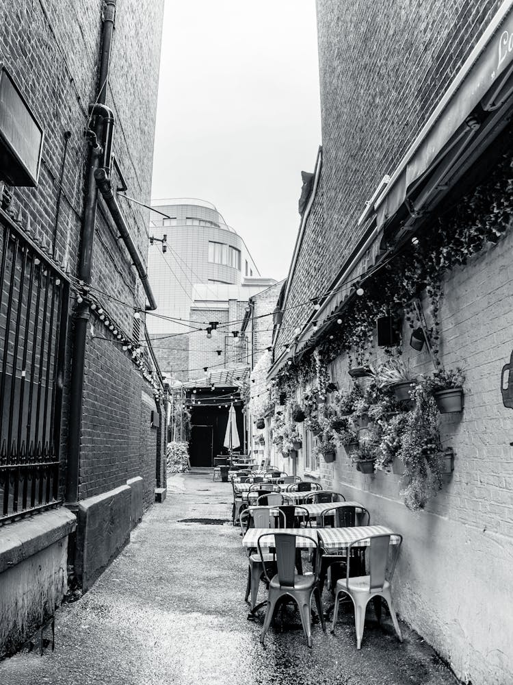 Urban Alleyway