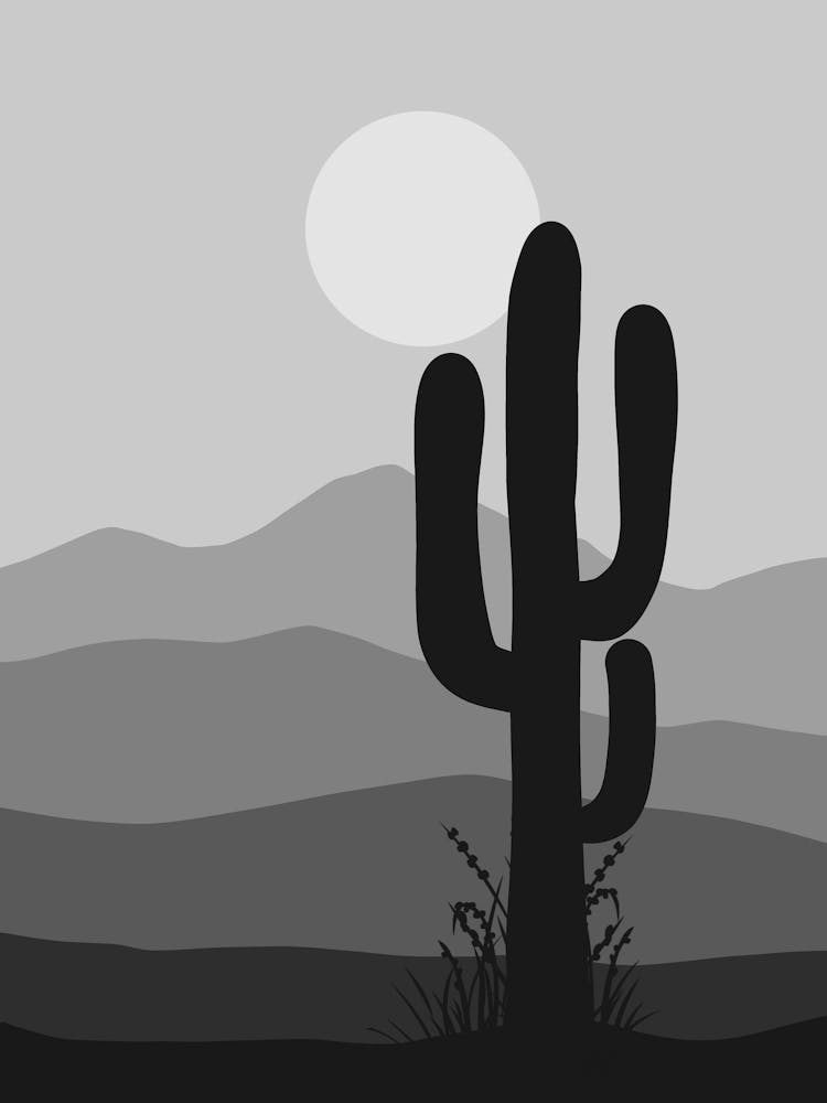 Cactus In The Desert 8