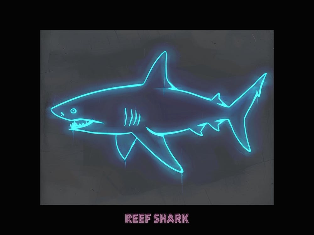 Affiche Requin de Récif à Pointe Blanche Rose Néon 4