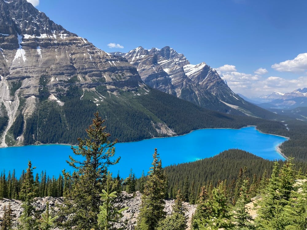 Lake Peyto in the Afternoon