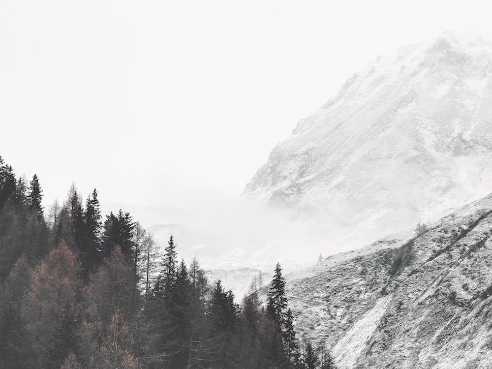 Mountain Forest Winter