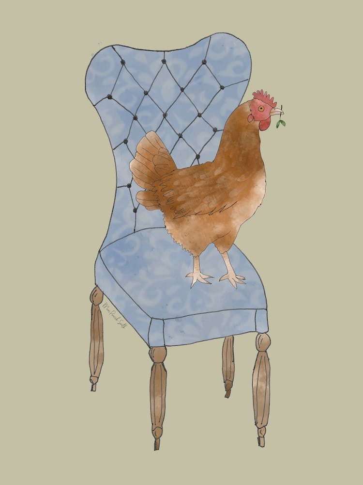 Miss Hen Chicken On A Chair 3