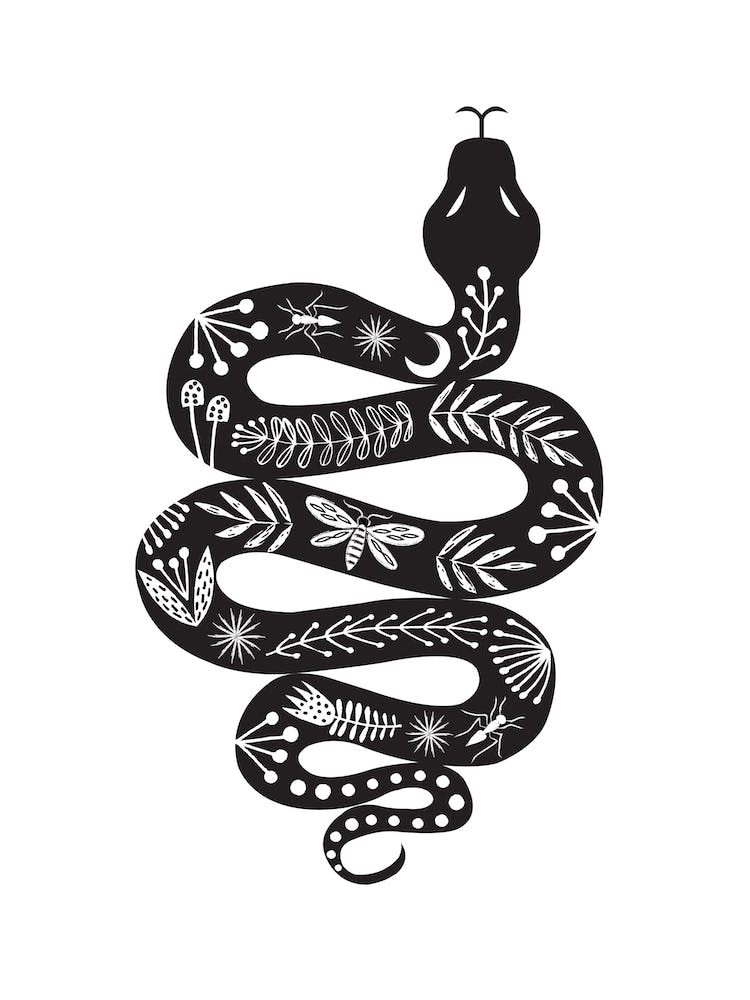 Folk Snake