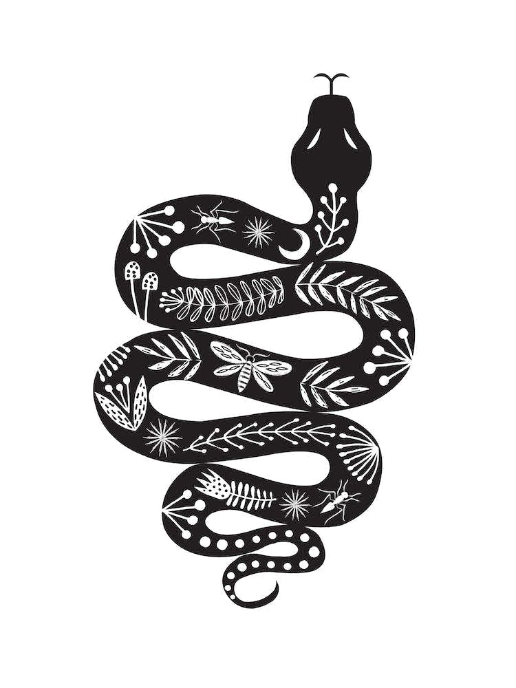 Folk Snake