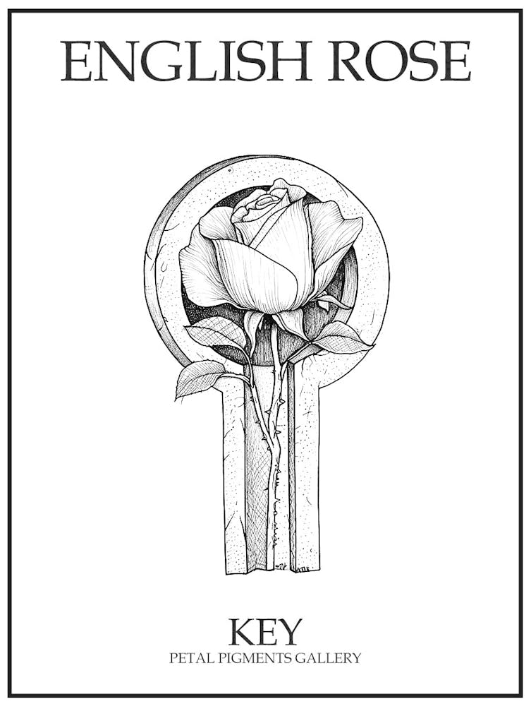 English Rose Key Line Drawing 2 Poster