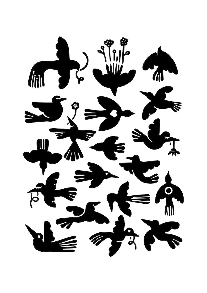 The Birds