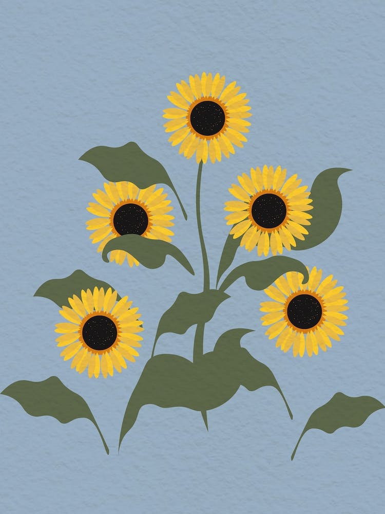 Vintage Minimal Art Sunflowers