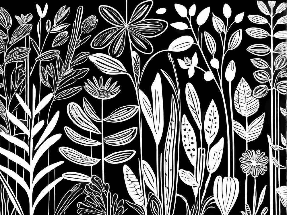 Lion cut inspired Black and white Garden plants & flowers art, Gardening art, Garden 213
