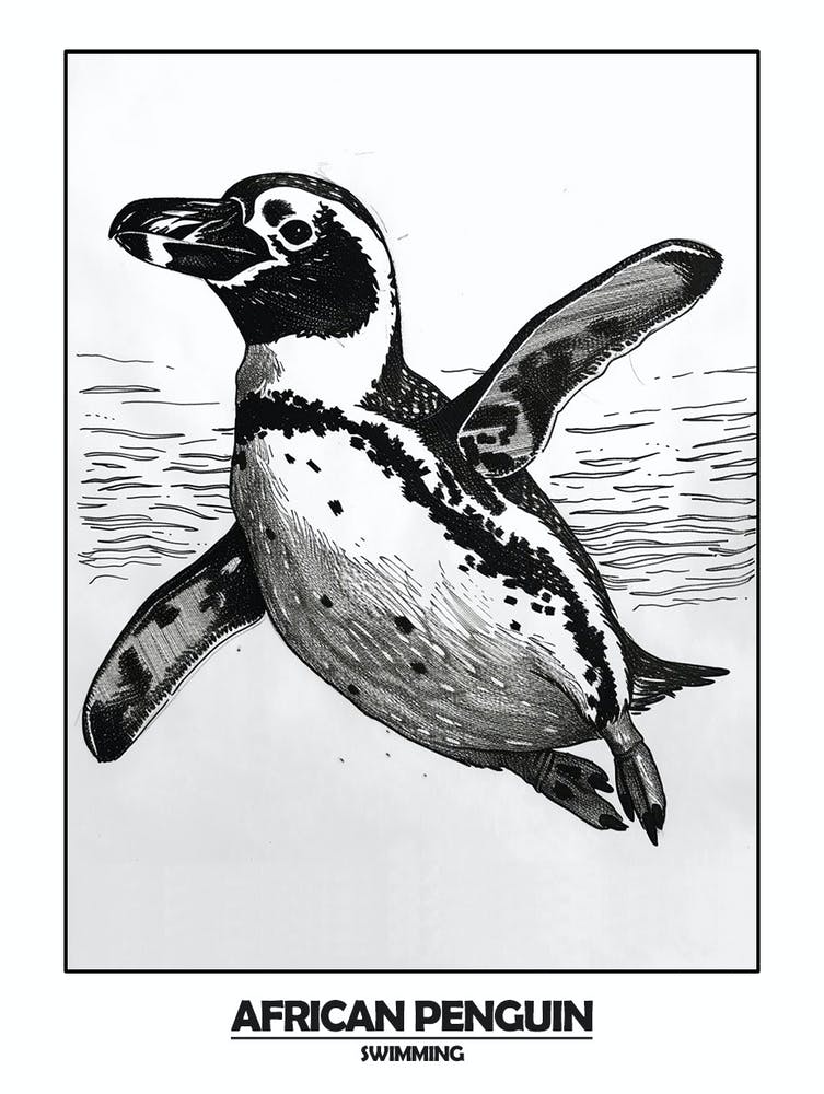 Penguin Swimming Poster 1