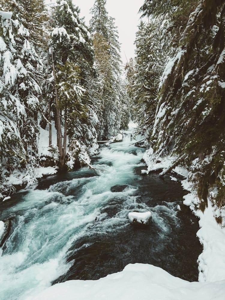 Pacific Northwest Winter River