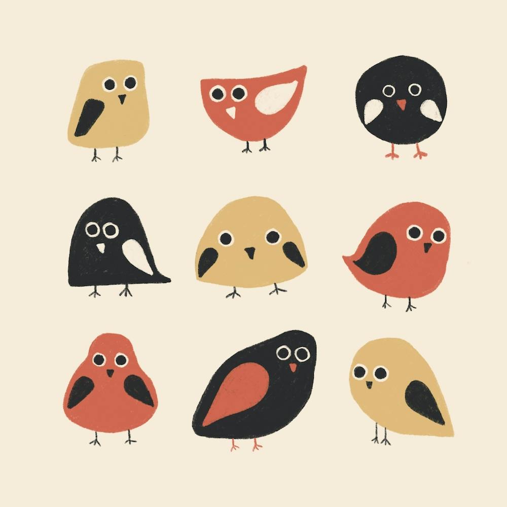 Bird shapes