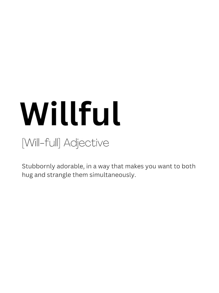 Willful Definition Meaning