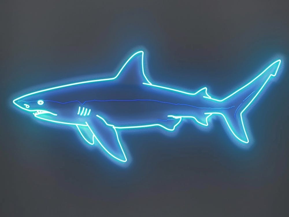 Neon Blacktip Reef Shark 6