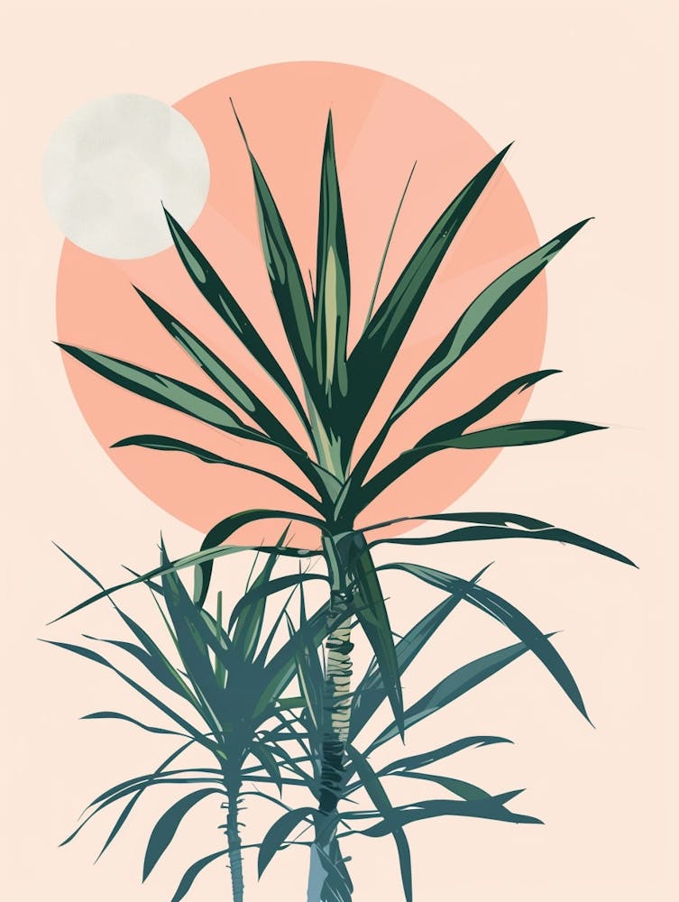 Dracaena Plant Minimalist Illustration 3
