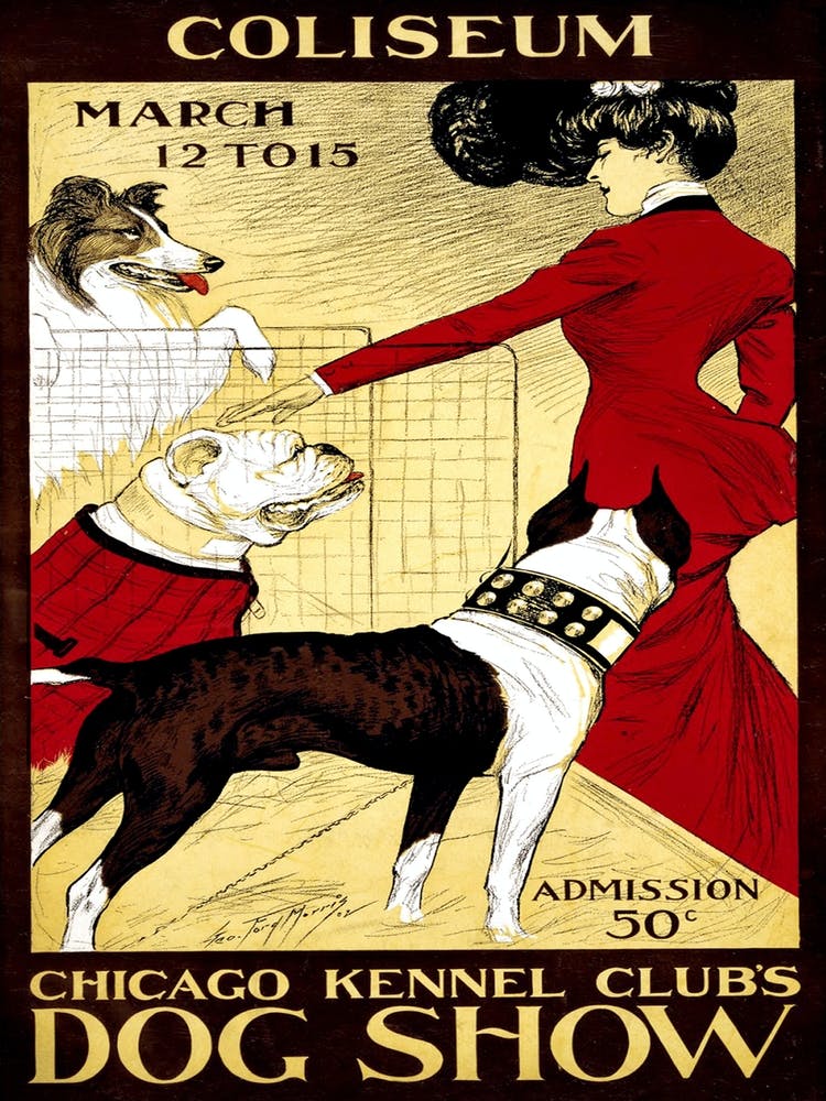 Chicago, Dog Show, Classic Poster