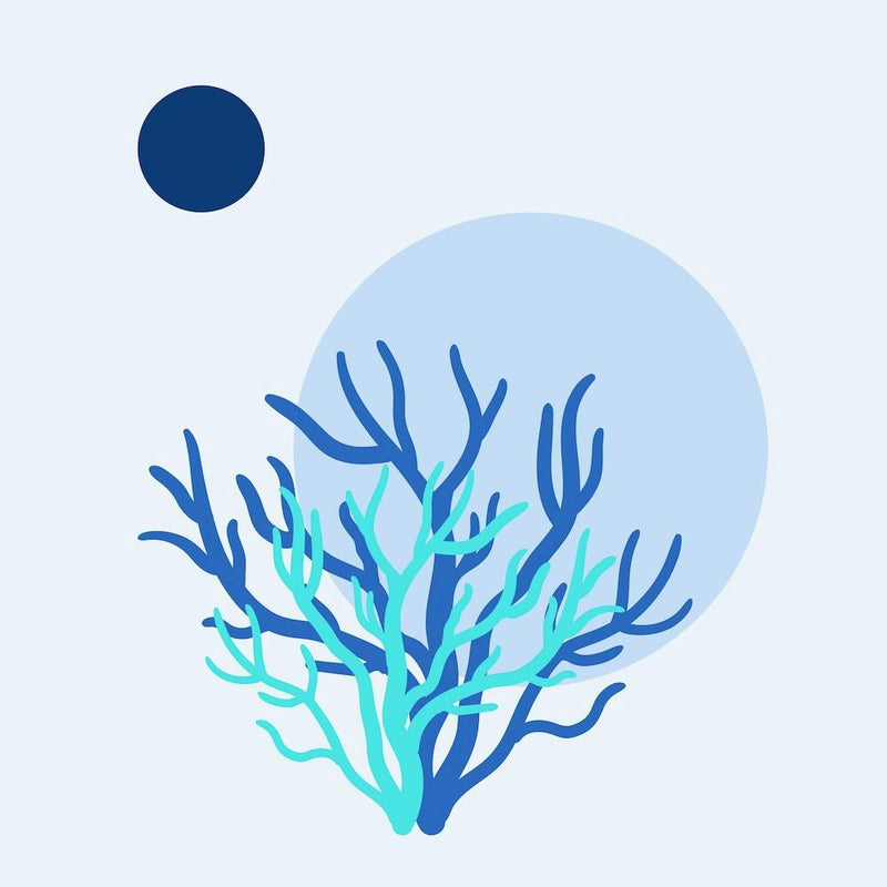Coral Reef - Light Blue