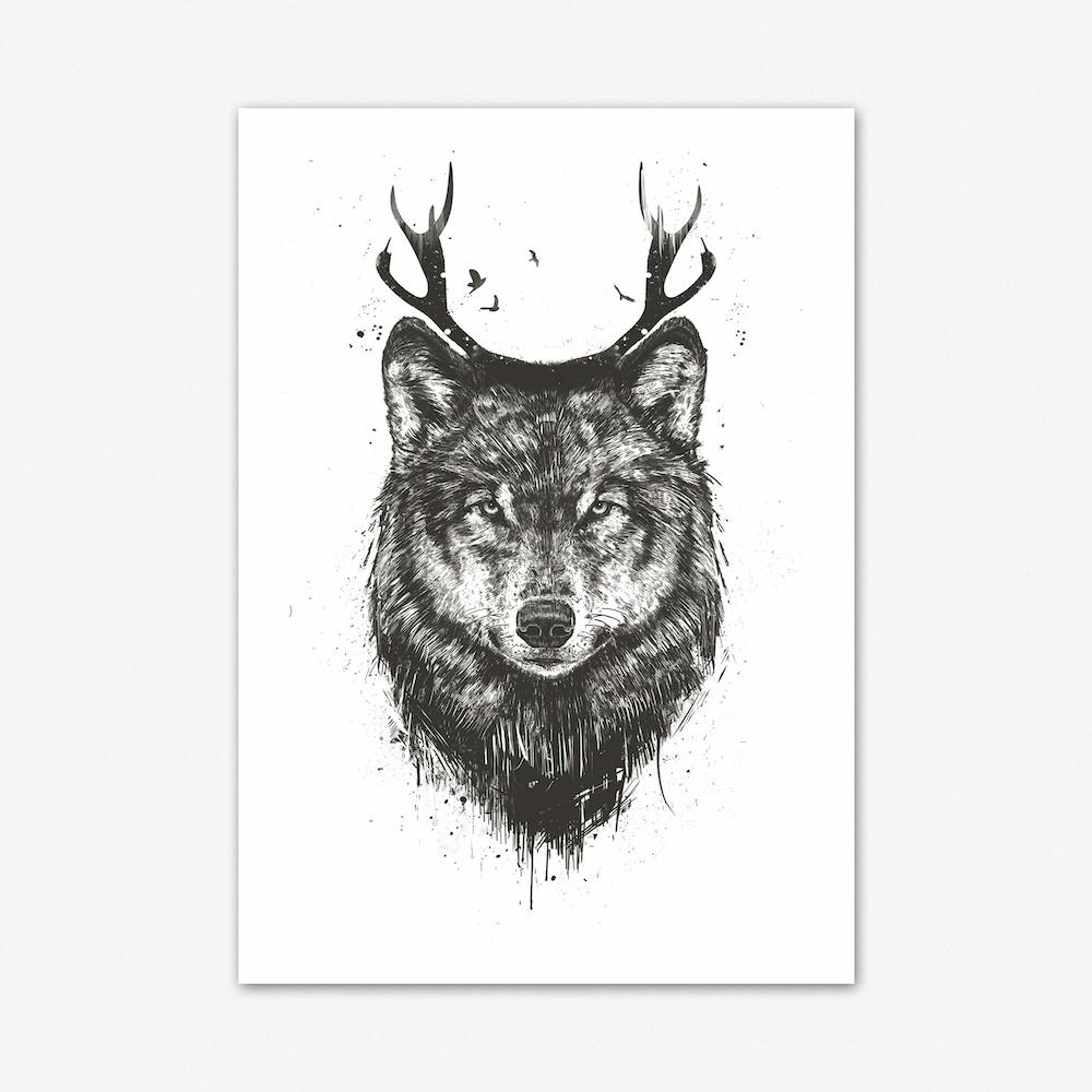 Deer Wolf Blackandwhite