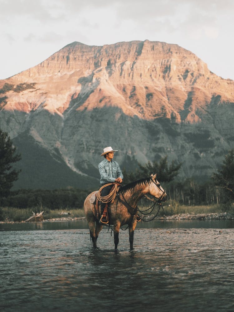 Cowboy In Western Mountains