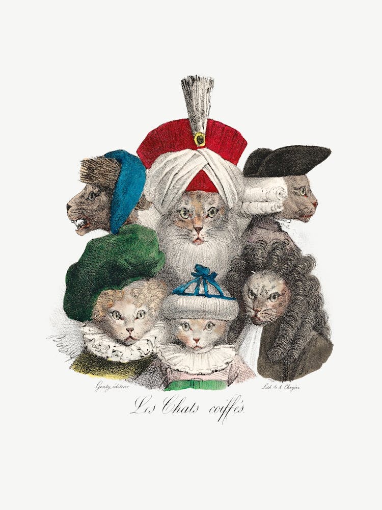 Les Chats Coiffés Vintage Cats