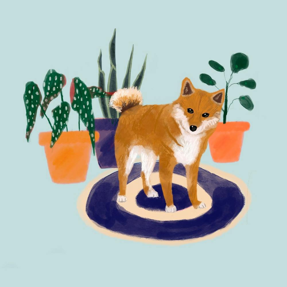 Dog with Plants