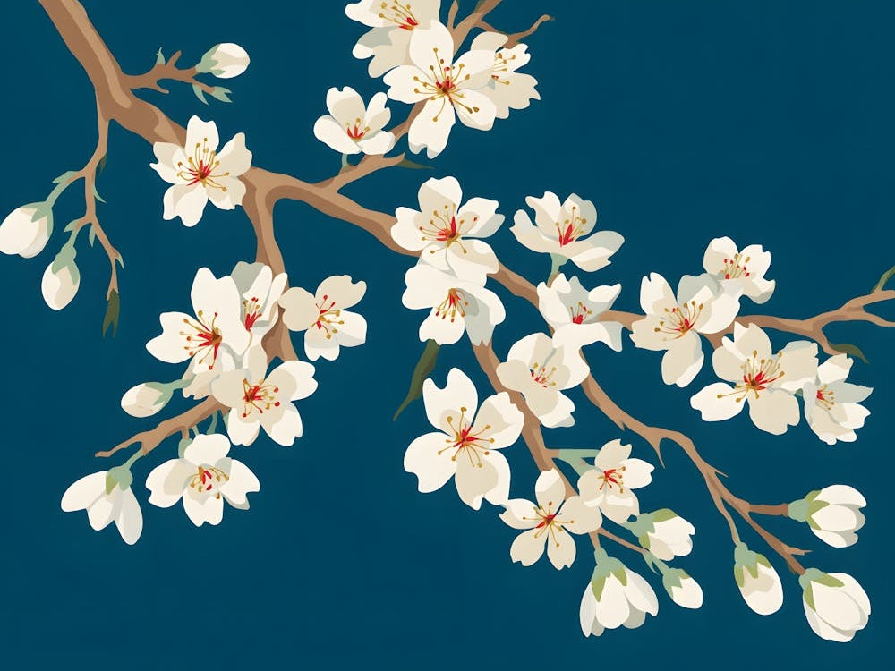 Spring Blossom – A Delicate Celebration of Nature