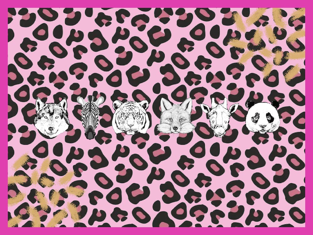 Zoo Animals