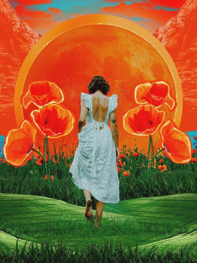 Collage 1 Model Orange Teal Moon