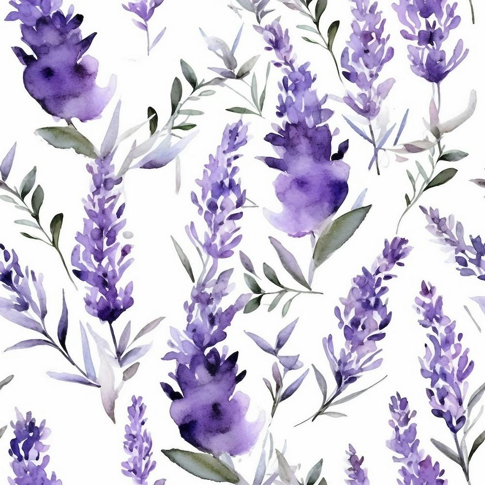 Lavender 1