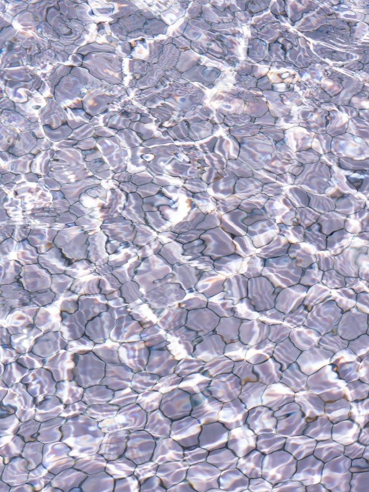 Pink Pool Water Swimming 1