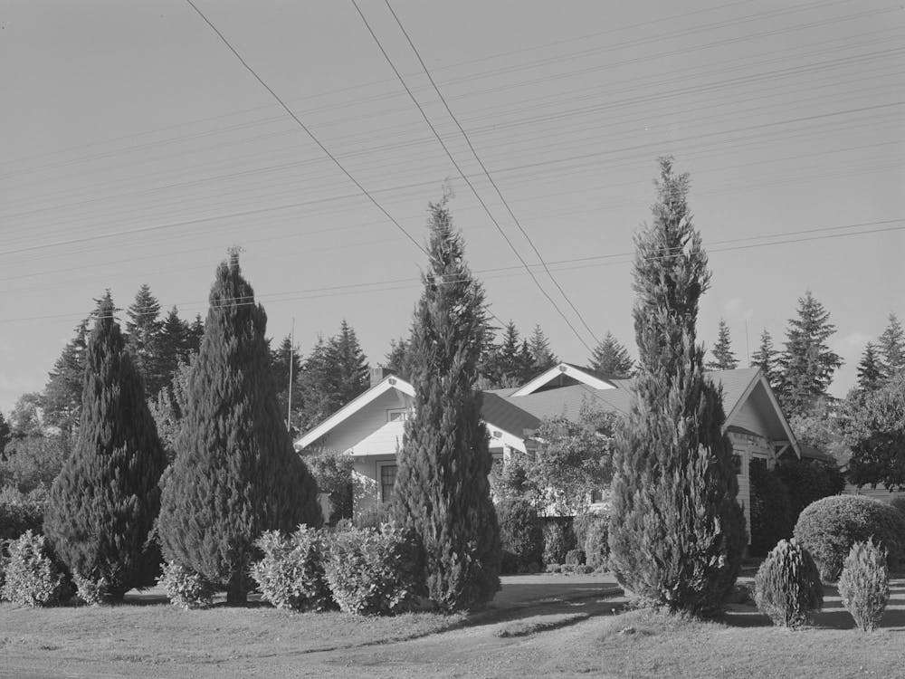 House In Suburbs Of Portland, Oregon By Russell Lee