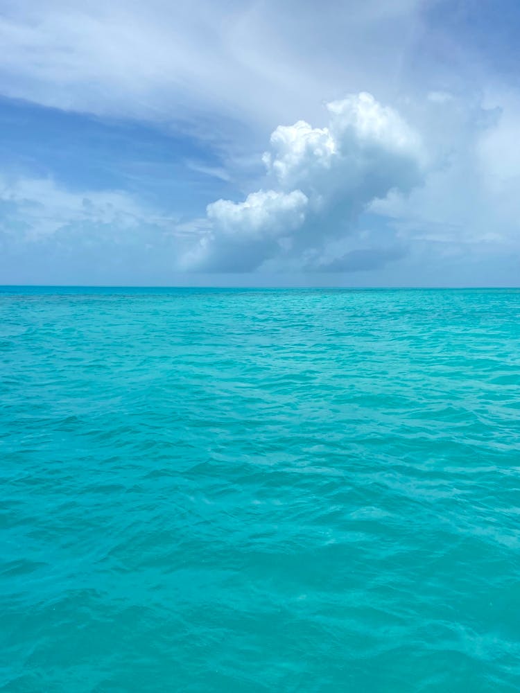 Clear Turquoise Water In Bermuda