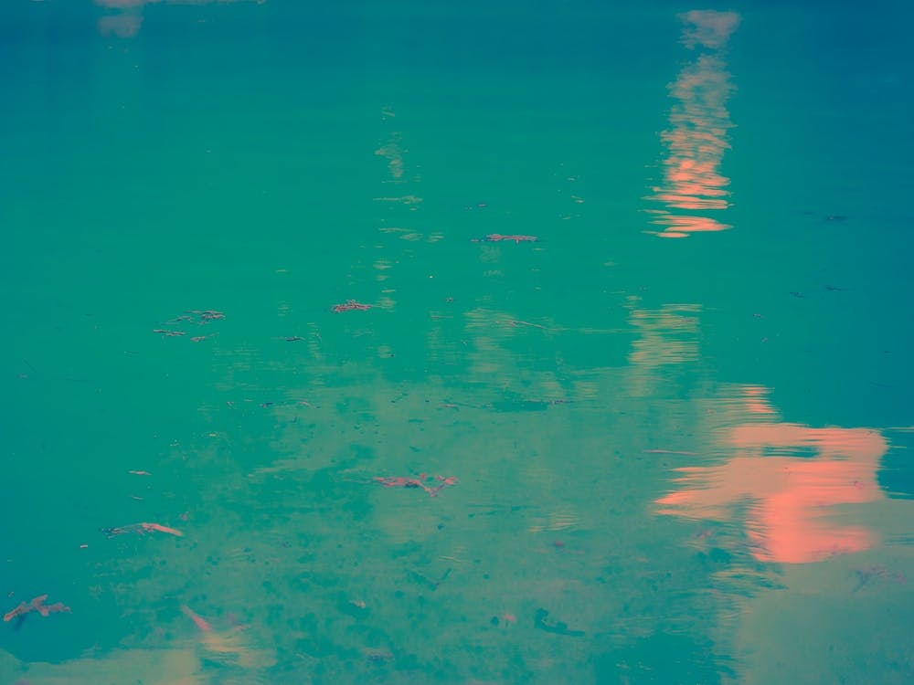 Water In Different Colors Of Blue, Pink And Orange