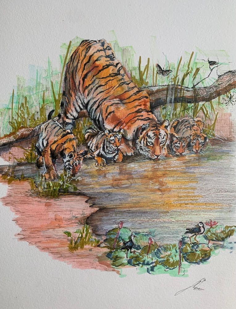 By waterhole