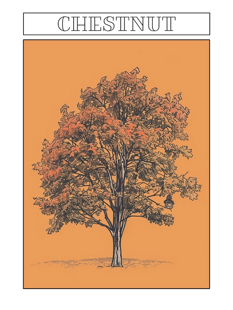 Chestnut Tree Minimalistic Drawing 2 Poster