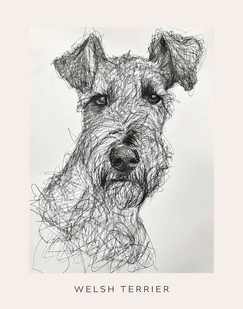 Welsh Terrier Dog Line Sketch 2 Poster