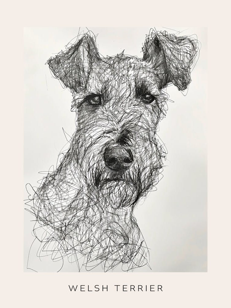 Welsh Terrier Dog Line Sketch 2 Poster