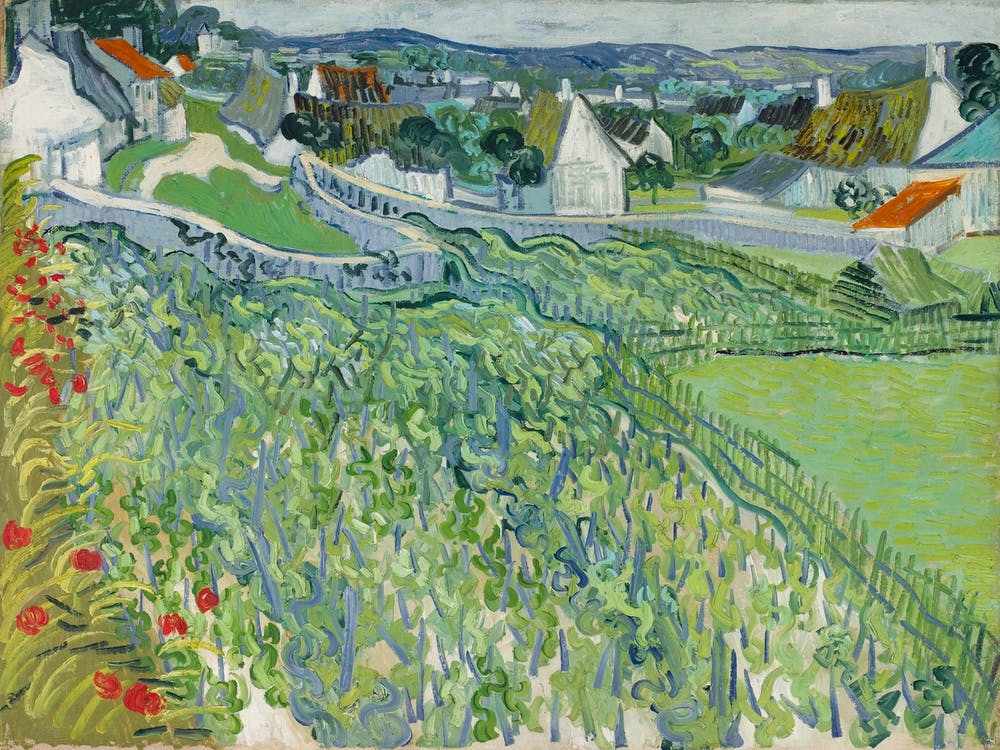 Vineyards At Auvers (1890), Vincent Van Gogh
