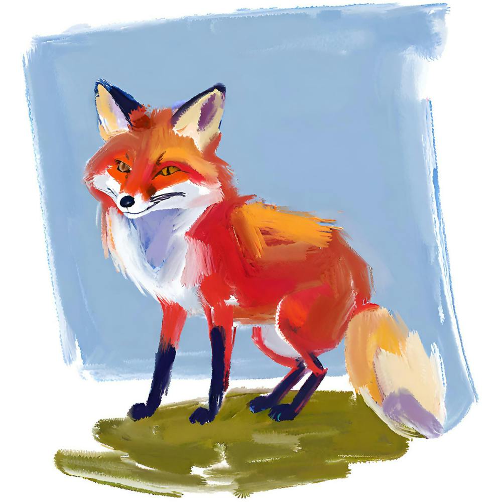 Red Fox 02