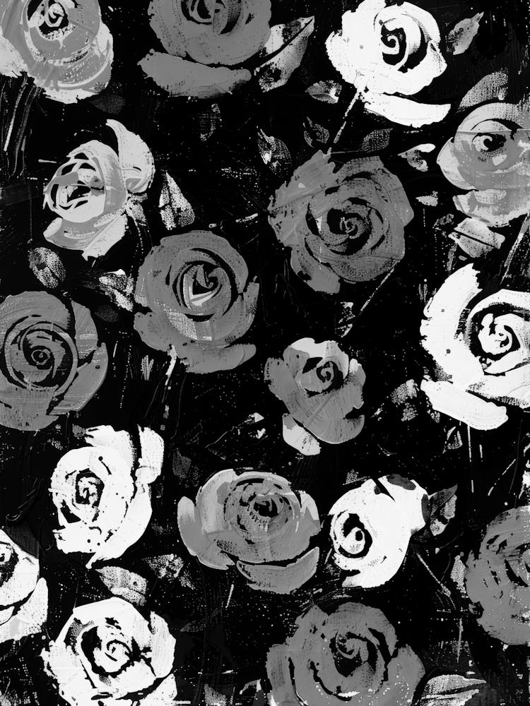 Roses In Black And White