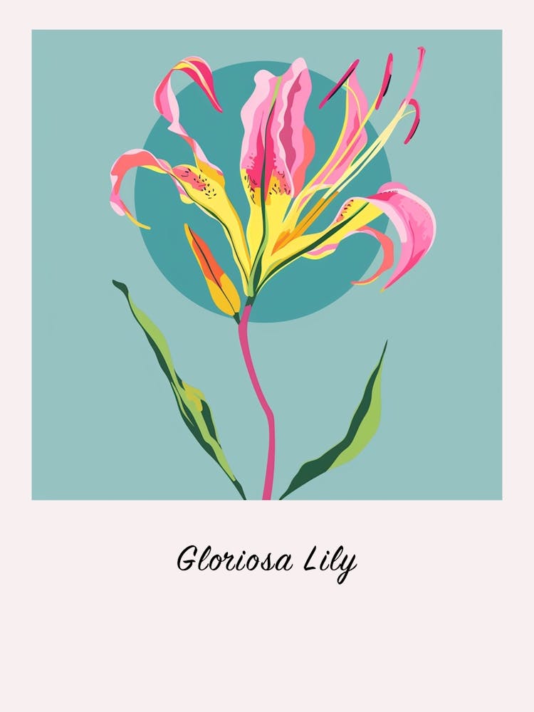 Gloriosa Lily 2 Square Flower Illustration Poster