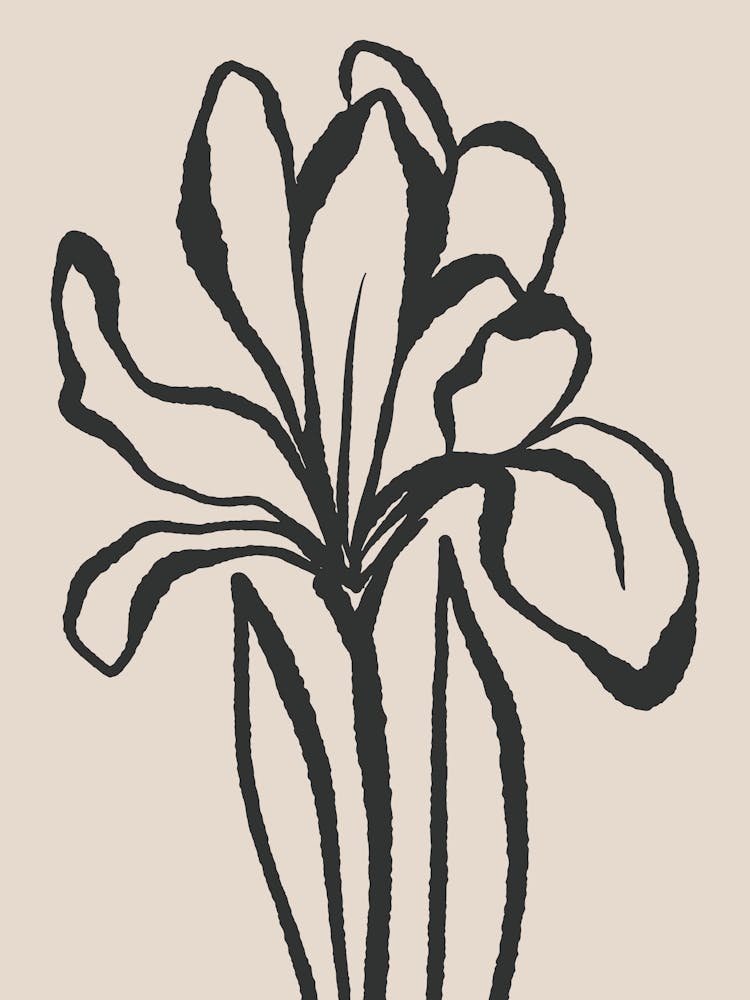 Abstract Floral Line No 0795