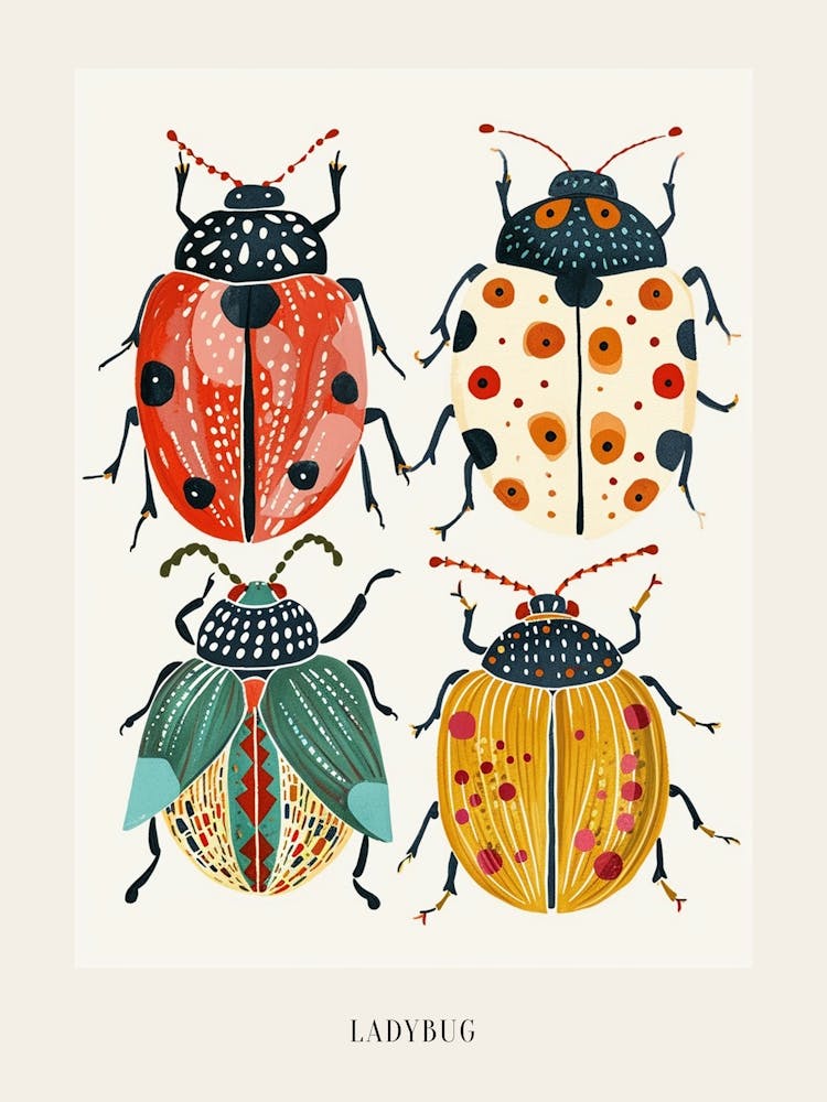 Colourful Insect Illustration Ladybug 31 Poster